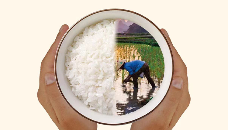 反對食品浪費，崇尚節(jié)儉美德